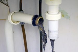 Drain cleaning service by a plumbing company in Rogers Park, Chicago