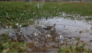 Flood control company in Niles Illinois