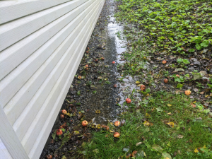 Sump Pump Replacement Company in Long Grove, Illinois